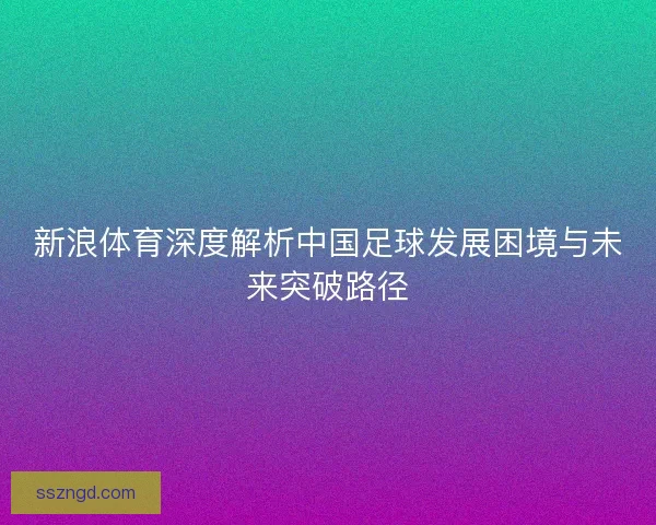 新浪体育深度解析中国足球发展困境与未来突破路径